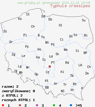 znaleziska Typhula crassipes (pałecznica koralowata) na terenie Polski