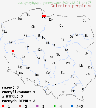 znaleziska Galerina perplexa na terenie Polski