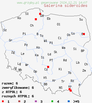 znaleziska Galerina sideroides (hełmówka nadrzewna) na terenie Polski