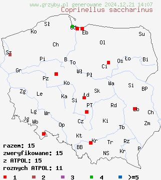 znaleziska Coprinellus saccharinus (czernidłak pniakowy) na terenie Polski