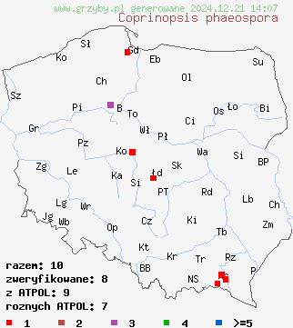 znaleziska Coprinopsis phaeospora na terenie Polski