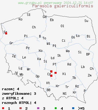 znaleziska Parasola galericuliformis na terenie Polski