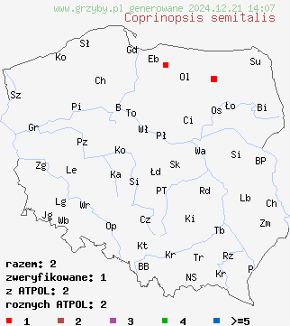 znaleziska Coprinopsis semitalis na terenie Polski