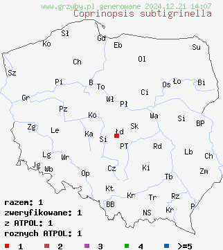 znaleziska Coprinopsis subtigrinella na terenie Polski