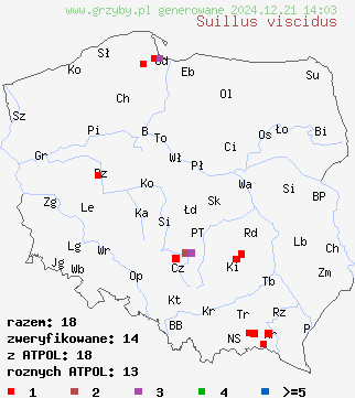 znaleziska Suillus viscidus (maślak lepki) na terenie Polski