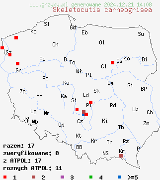 znaleziska Skeletocutis carneogrisea (szkieletnica różowoszara) na terenie Polski