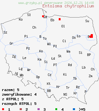 znaleziska Entoloma chytrophilum na terenie Polski