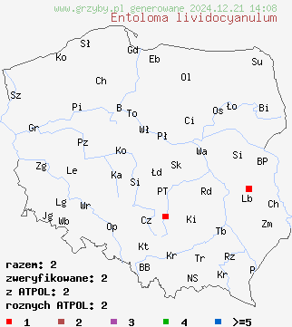 znaleziska Entoloma lividocyanulum (dzwonkówka błyszcząca) na terenie Polski