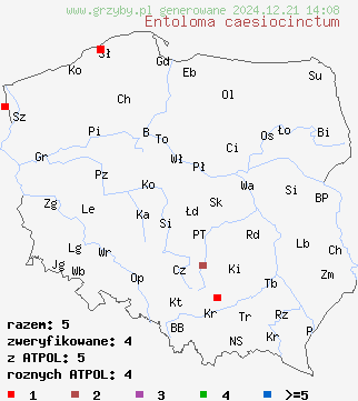 znaleziska Entoloma caesiocinctum na terenie Polski