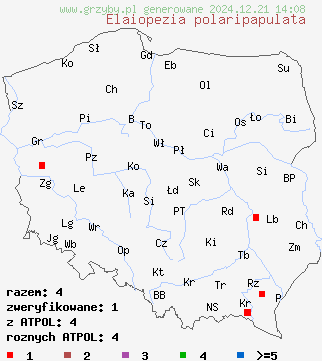 znaleziska Elaiopezia polaripapulata na terenie Polski