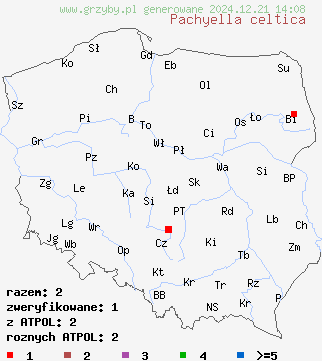 znaleziska Pachyella celtica na terenie Polski