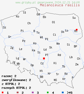 znaleziska Melanoleuca rasilis na terenie Polski