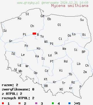 znaleziska Mycena smithiana (grzybówka bladoszara) na terenie Polski