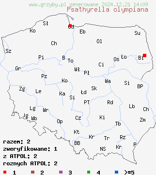 znaleziska Psathyrella olympiana (kruchaweczka czerwonobrązowa) na terenie Polski