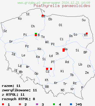 znaleziska Psathyrella panaeoloides (kruchaweczka kołpaczkowata) na terenie Polski