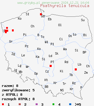 znaleziska Psathyrella tenuicula na terenie Polski