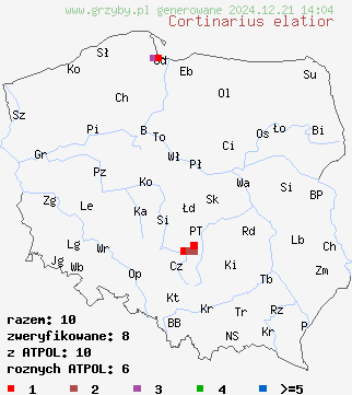 znaleziska Cortinarius elatior (zasłonak wyniosły) na terenie Polski