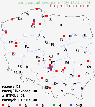 znaleziska Gomphidius roseus (klejówka różowa) na terenie Polski