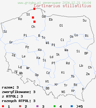 znaleziska Cortinarius stillatitius (zasłonak łzawy) na terenie Polski