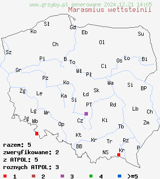 znaleziska Marasmius wettsteinii (twardzioszek igłowy) na terenie Polski