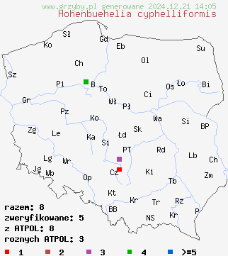 znaleziska Hohenbuehelia cyphelliformis (odgiętka leśna) na terenie Polski