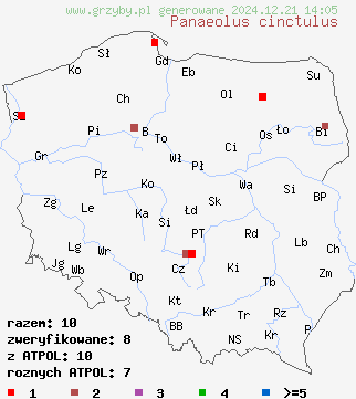 znaleziska Panaeolus cinctulus na terenie Polski