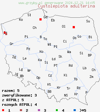 znaleziska Cystolepiota adulterina (czubniczka bukowa) na terenie Polski