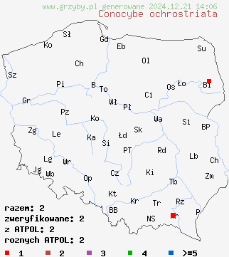 znaleziska Conocybe ochrostriata na terenie Polski