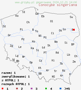 znaleziska Conocybe singeriana (stożkówka Singera) na terenie Polski