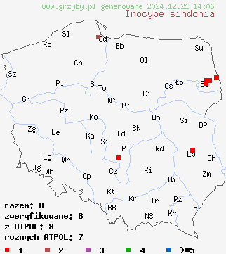 znaleziska Inocybe sindonia (strzępiak drobnowłóknisty) na terenie Polski