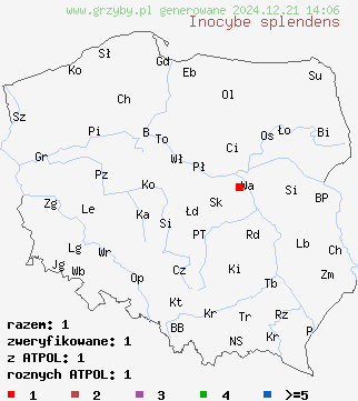 znaleziska Inocybe splendens (strzępiak brunatny) na terenie Polski