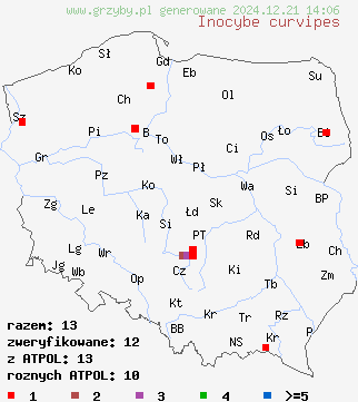 znaleziska Inocybe curvipes (strzępiak wełenkowy) na terenie Polski