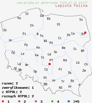 znaleziska Lepiota felina (czubajeczka czarnołuskowa) na terenie Polski