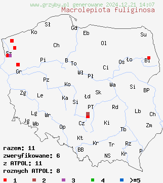 znaleziska Macrolepiota fuliginosa na terenie Polski