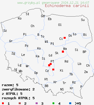 znaleziska Echinoderma carinii (jeżoskórka krótkotrzonowa) na terenie Polski