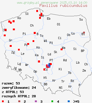 znaleziska Paxillus rubicundulus (krowiak olszowy) na terenie Polski