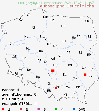 znaleziska Leucoscypha leucotricha na terenie Polski