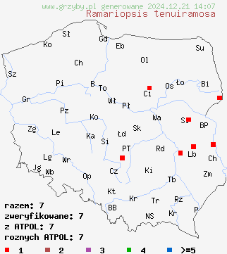 znaleziska Ramariopsis tenuiramosa na terenie Polski