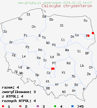 znaleziska Calocybe chrysenteron na terenie Polski