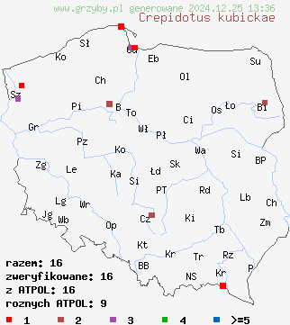 znaleziska Crepidotus kubickae (ciżmówka ciemnoblaszkowa odm. różowozarodnikowa) na terenie Polski