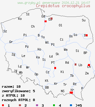 znaleziska Crepidotus crocophyllus na terenie Polski