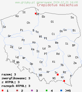 znaleziska Crepidotus malachius na terenie Polski