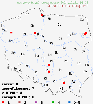 znaleziska Crepidotus caspari (ciżmówka migdałowozarodnikowa) na terenie Polski