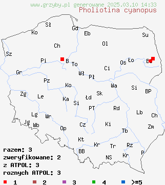 znaleziska Pholiotina cyanopus (stożkówka sinostopka) na terenie Polski