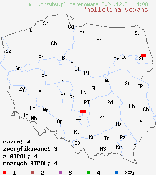 znaleziska Pholiotina vexans na terenie Polski