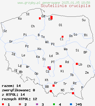 znaleziska Scutellinia crucipila na terenie Polski