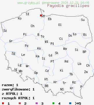 znaleziska Fayodia gracilipes (śluzopępka dwuzarodnikowa) na terenie Polski