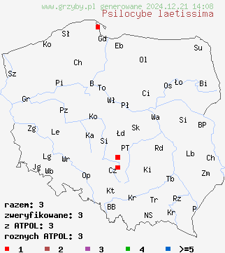 znaleziska Psilocybe laetissima na terenie Polski