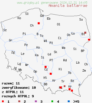 znaleziska Amanita battarrae (muchomor oliwkowy) na terenie Polski