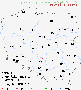 znaleziska Antrodia macra (jamkówka wierzbowa) na terenie Polski